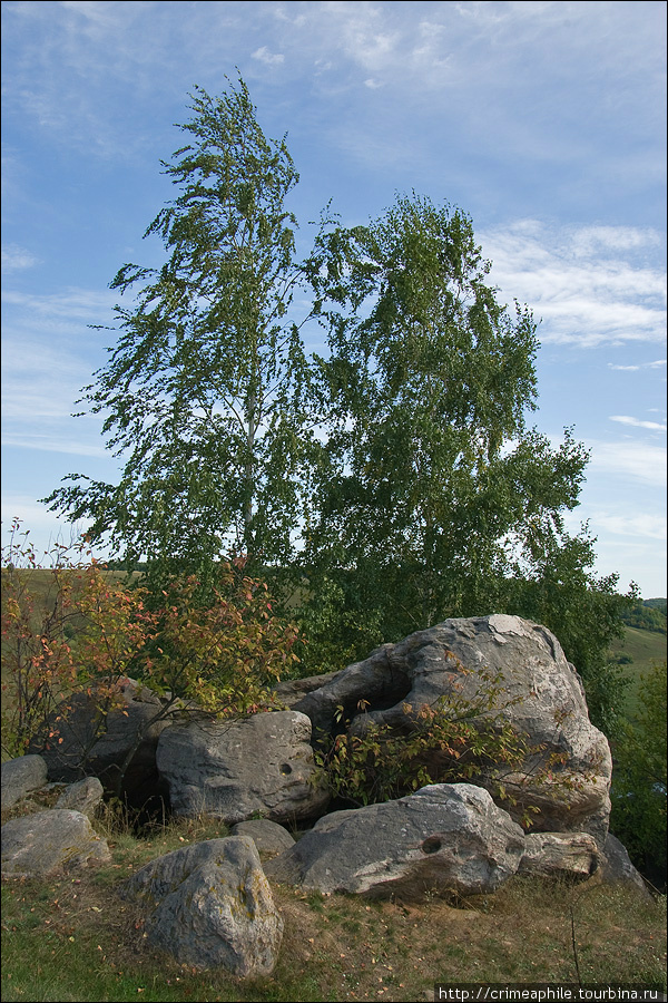 Ведьмино красногорье. Осень 2009 года. Красногорье, Россия
