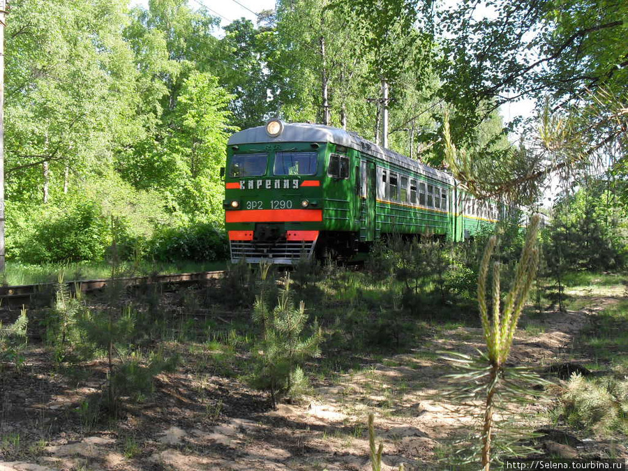 Небольшая прогулка по Тарховке Санкт-Петербург и Ленинградская область, Россия