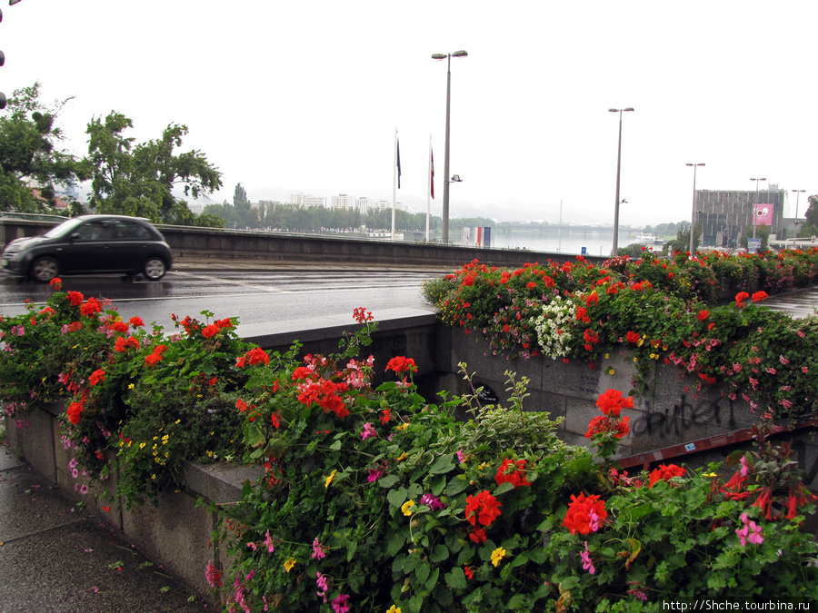 Через площадь вышли к Дунаю на мост Нибелунгов Nibelungenbrucke, утопающий в цветах. Линц, Австрия