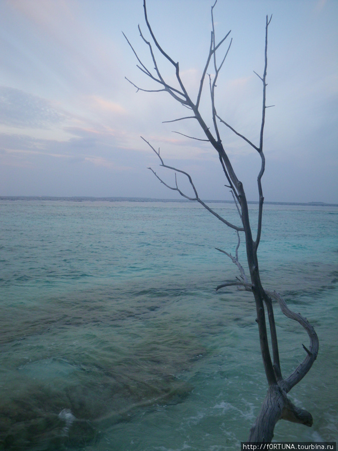 Остров Бандос Бандос, Мальдивские острова