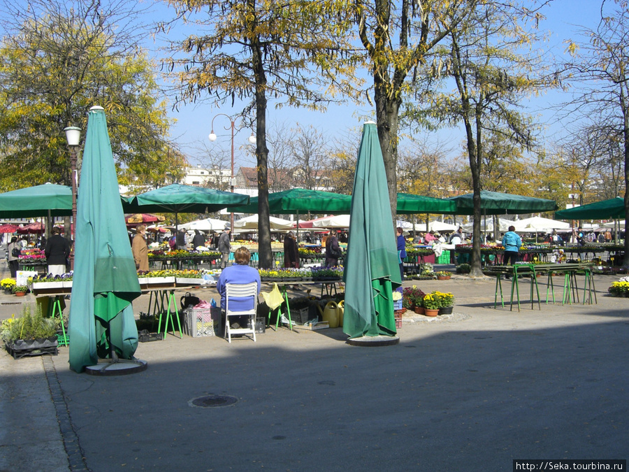Городской рынок Любляна, Словения