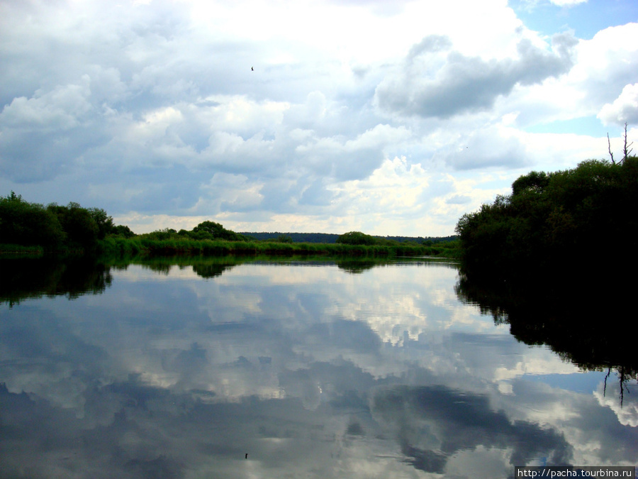 р.Березина д.Белено Березинский биосферный заповедник, Беларусь