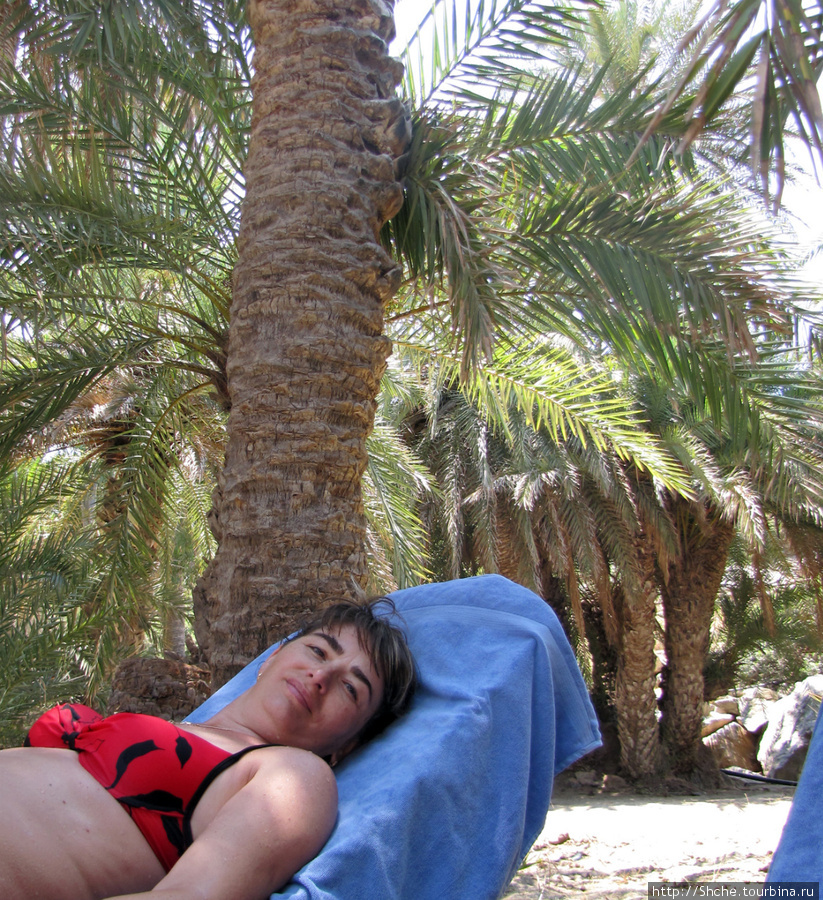 лежаки есть и под пальмами, и под зонтиками на пляже