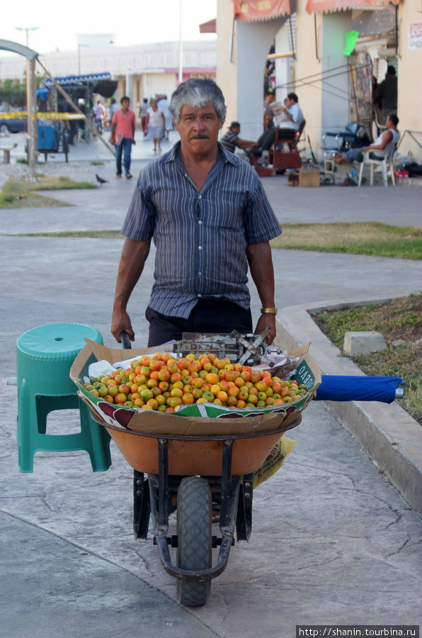 Разносчик — торгует фруктами прямо из тачки Мексика