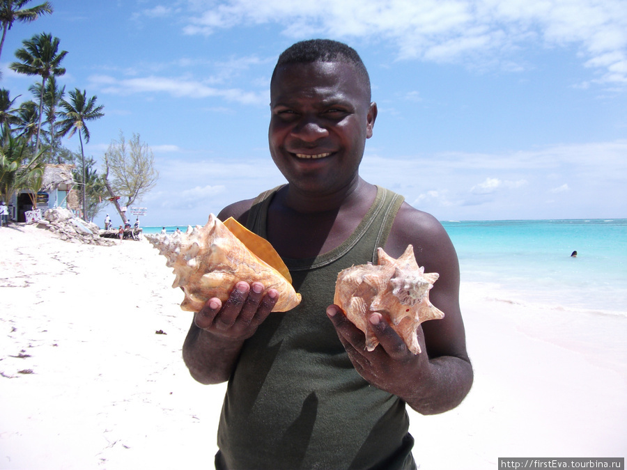 Милый молодой человек — продавец раковин и кокосов. Доминиканская Республика