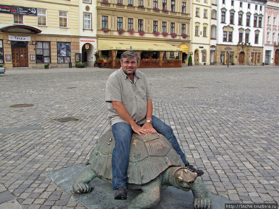  А теперь покатай меня, БАЛЬША-А-Я  черепаха Оломоуц, Чехия