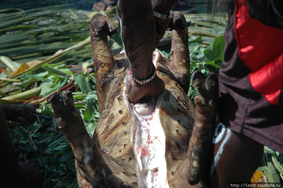 Он стал разделывать туши свиней. Джайпура, Индонезия