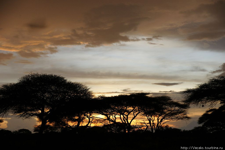 У подножия Килиманджаро (Амбосели) Амбосели Национальный Парк, Кения
