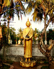 Почти всем статуям Будды   присущи общие черты черты: умиротворенная поза Будды, смотрящие вниз или закрытые глаза, руки, положение которых означает успокоение, призыв к миру, мирную победу над злом