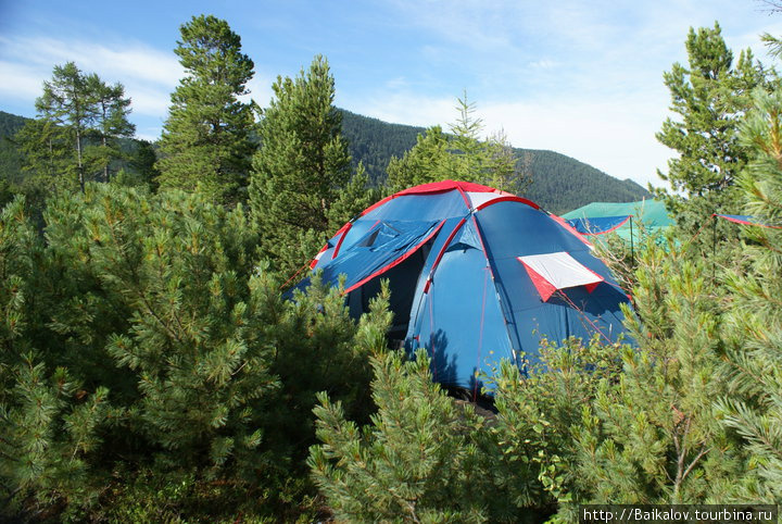 Палатки в стланике озеро Байкал, Россия