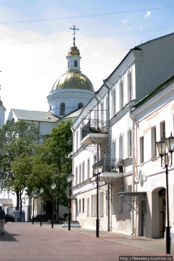 Ворота в Петербург