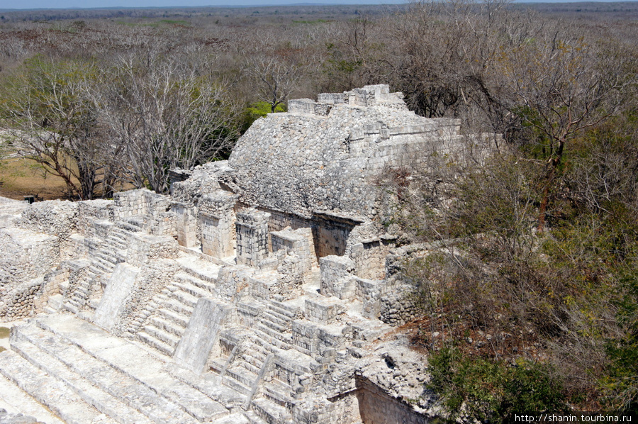 Вид с пирамиды Штат Кампече, Мексика