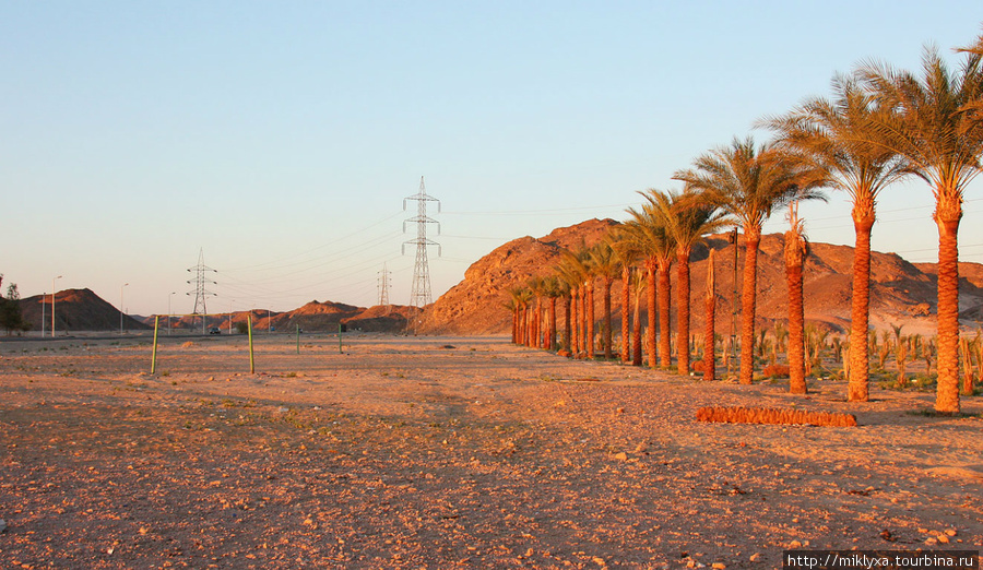 пункт отдыха в пустыне Луксор, Египет