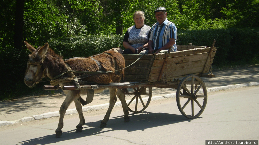 Такой транспорт часто встречается на дорогах Гагаузии Вулканешты, Молдова