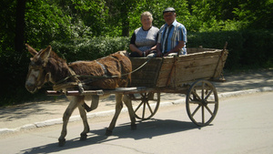 Такой транспорт часто встречается на дорогах Гагаузии