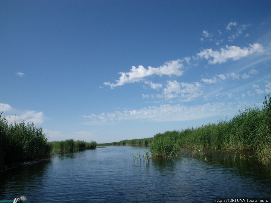 Подводная охота на реке Или Карагандинская область, Казахстан