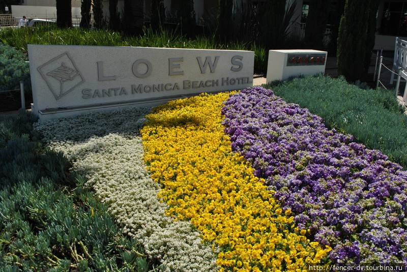 Отели активно используют цветы в рекламных целях Штат Калифорния, CША