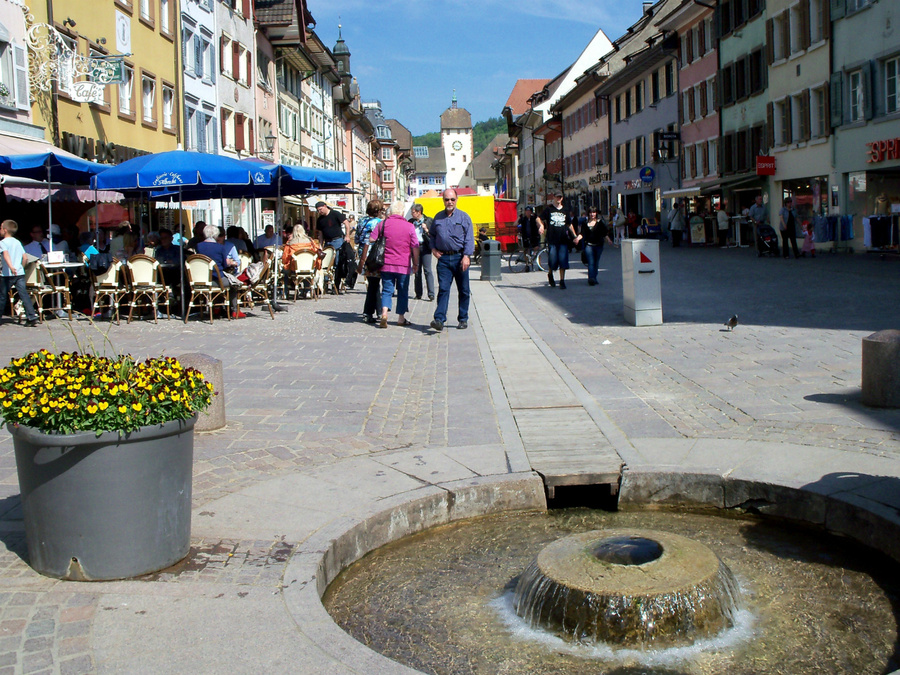 Waldshut (города Рейна) Вальдсхут-Тинген, Германия