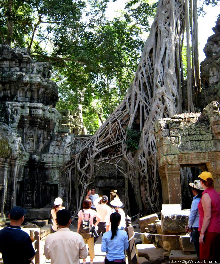 А вот набежали и туристы Ангкор (столица государства кхмеров), Камбоджа