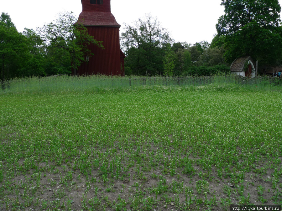 Skansen Стокгольм, Швеция