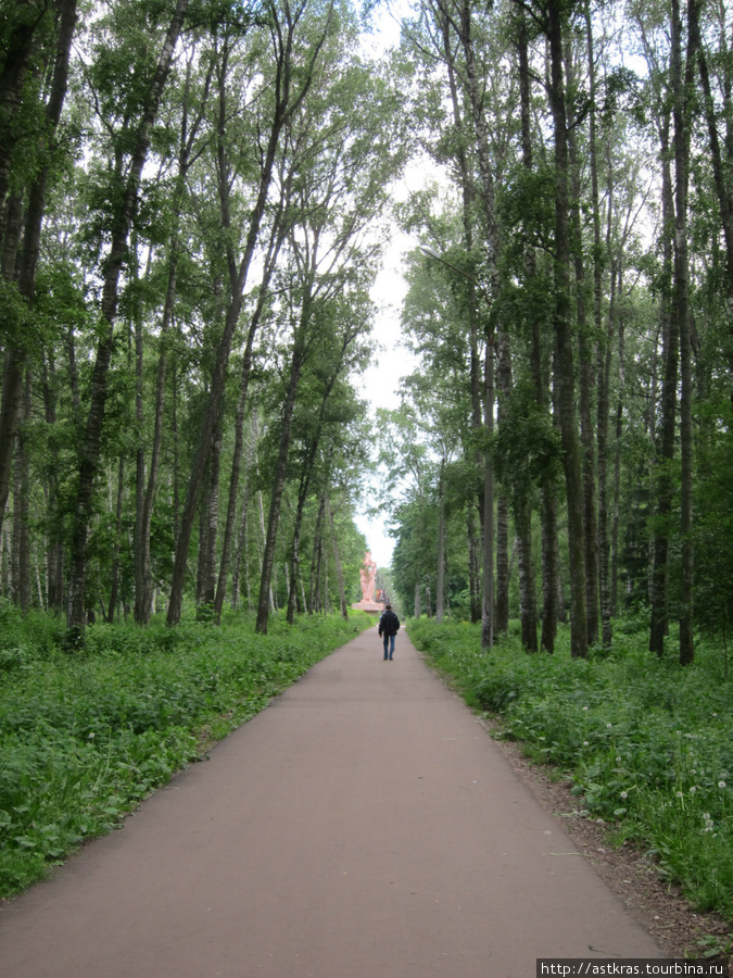 в парке имени Гайдара Арзамас, Россия