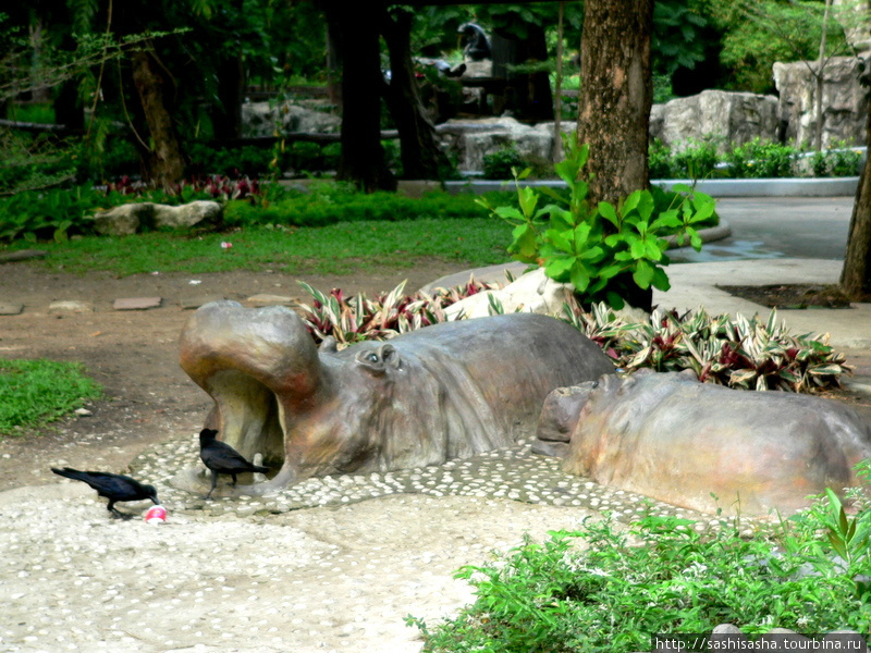 Бангкокский зоопарк, или есть тут кто живой? Бангкок, Таиланд