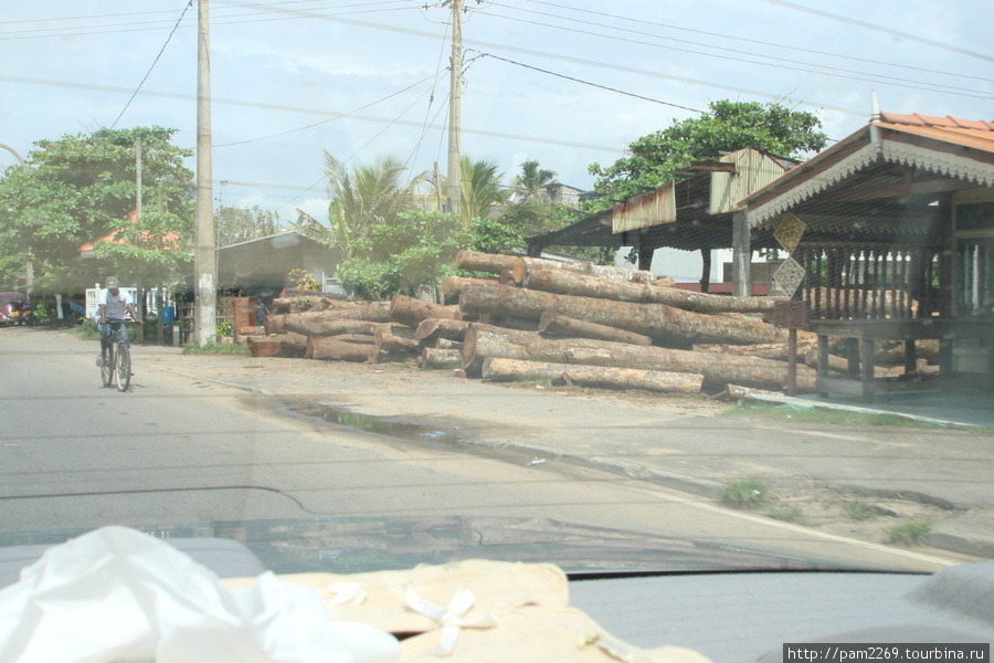 у дороги заготовки леса для поделок или ремонта Шри-Ланка