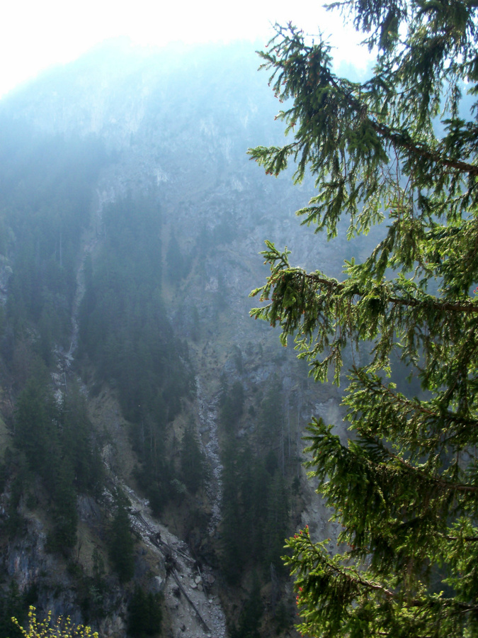 Замок Neuschwanstein Швангау, Германия