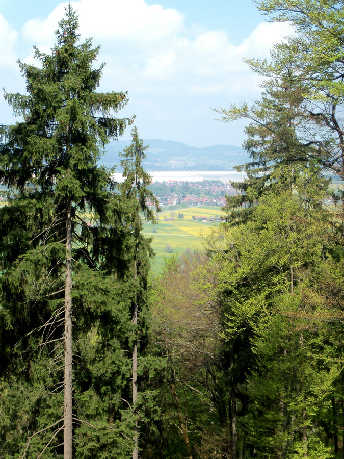 Замок Neuschwanstein Швангау, Германия