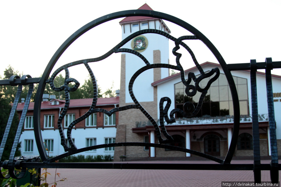 Фирменные заборы и ворота Беловежская Пуща Национальный Парк, Беларусь