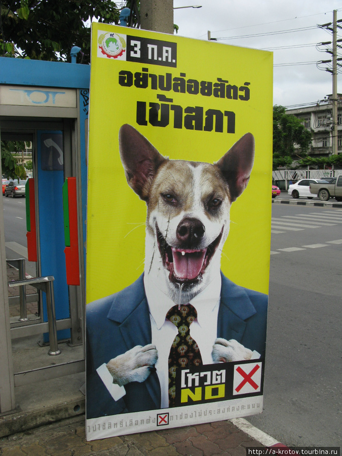 Не выбирайте зверей в парламент! Бангкок, Таиланд