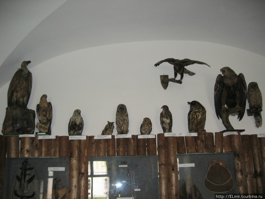 Коллекция семьи охотников Банскобистрицкий край, Словакия
