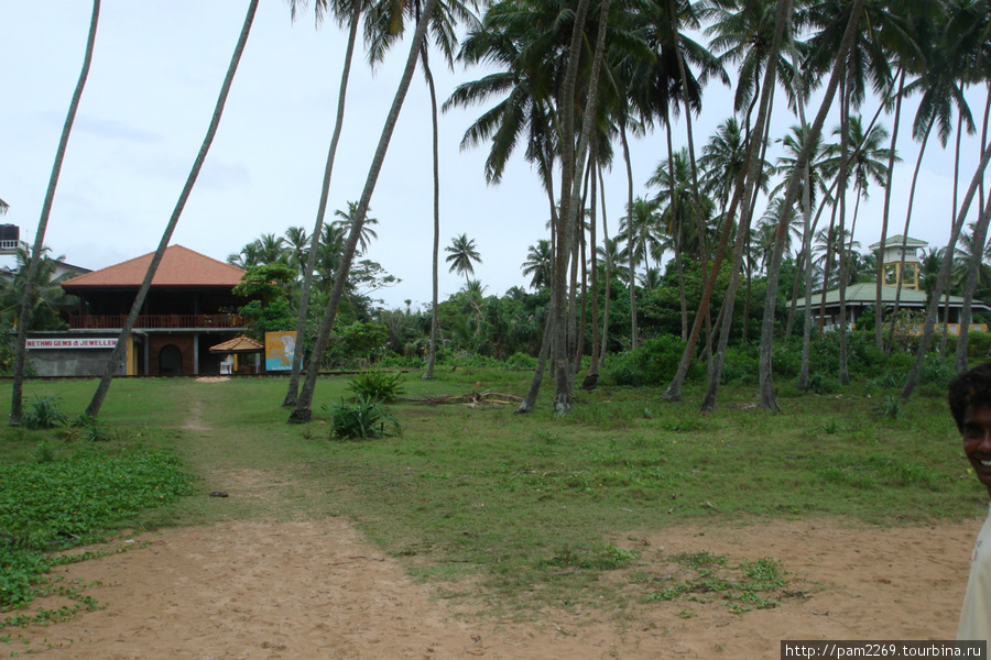 ресторан и черепашья ферма Бентота, Шри-Ланка