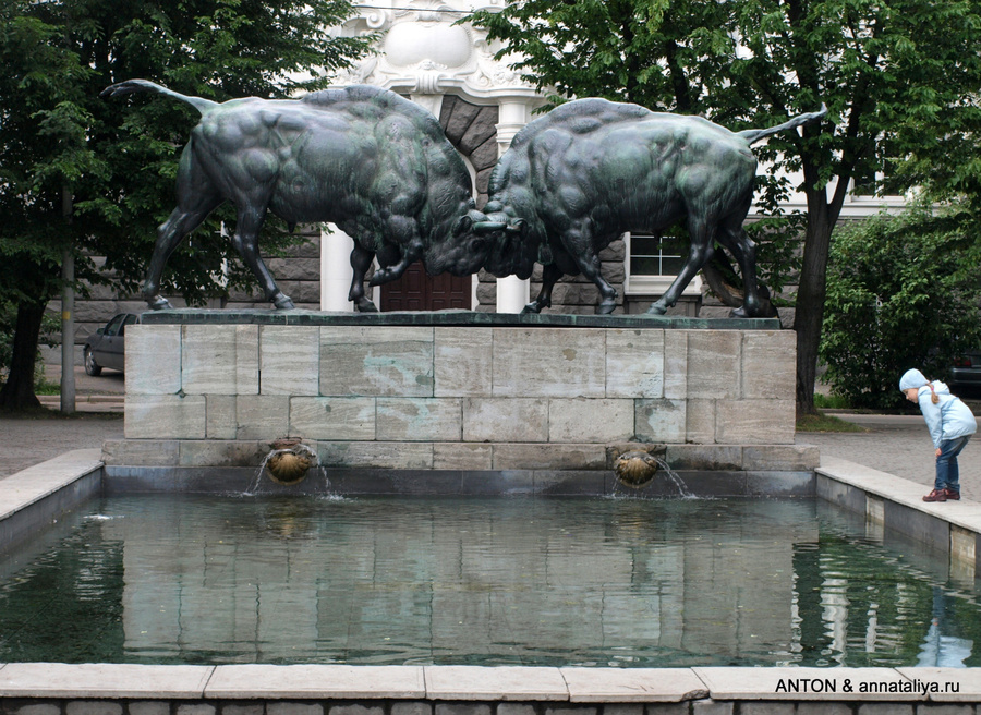 Скульптура Борющиеся зубры — опять же единственная скульптура, оставшаяся от немцев Калининград, Россия