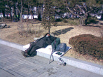 И а Сеуле есть бездомные.
