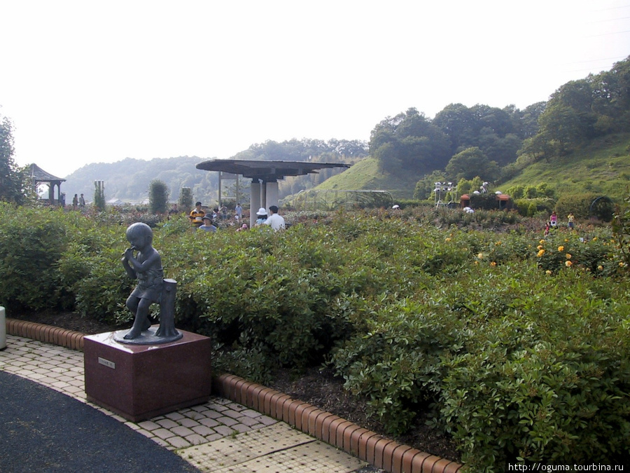 Парк с садами роз в Кани Кани, Япония