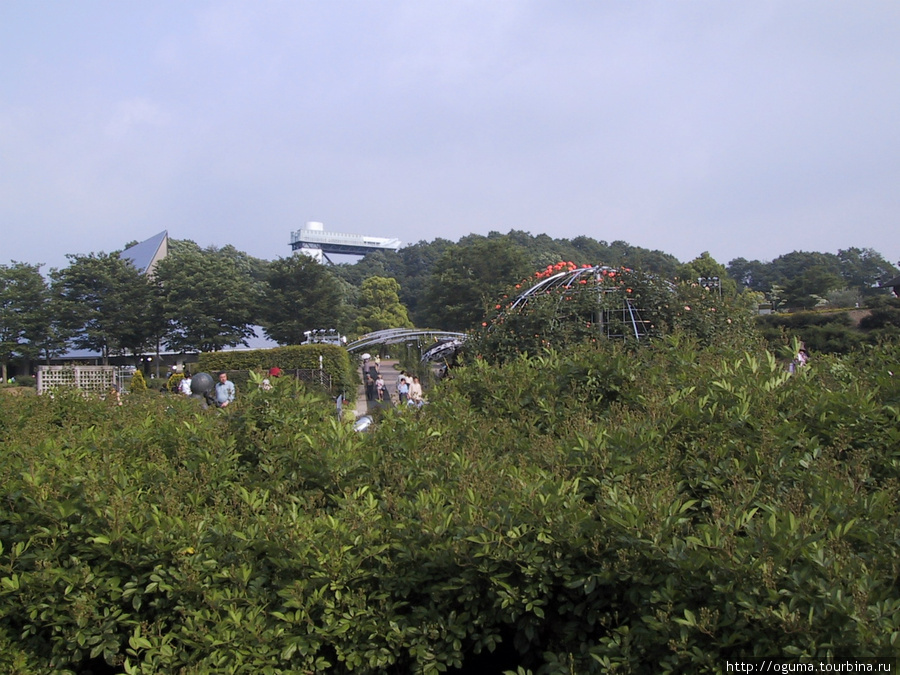 Парк с садами роз в Кани Кани, Япония