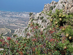 Вид с гор на Кирению