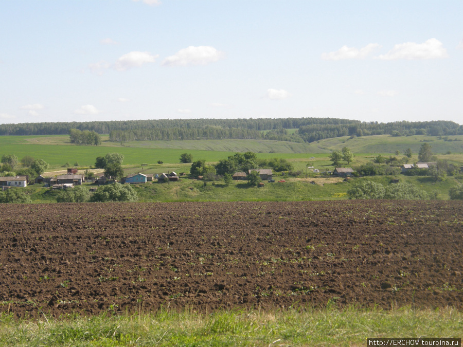 Поле, русское поле Орловская область, Россия