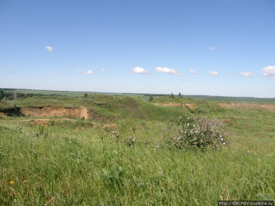 Поле, русское поле Орловская область, Россия