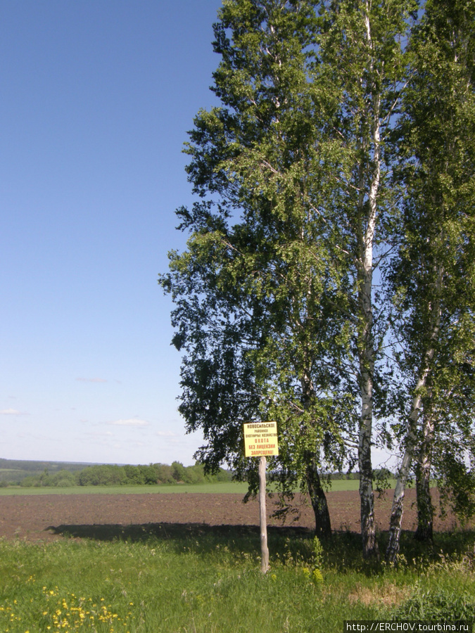 Поле, русское поле Орловская область, Россия