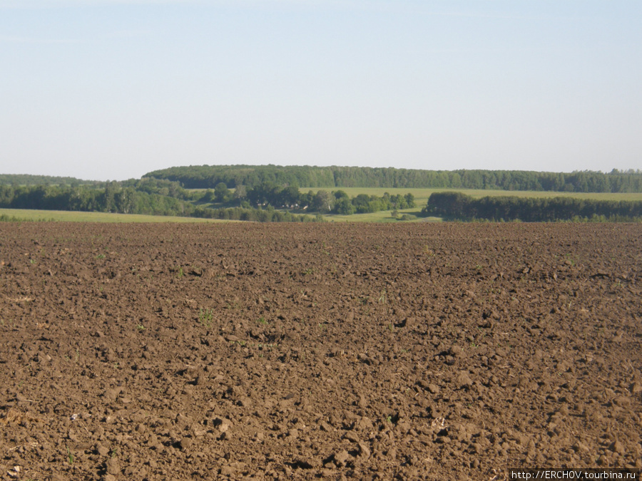 Поле, русское поле Орловская область, Россия