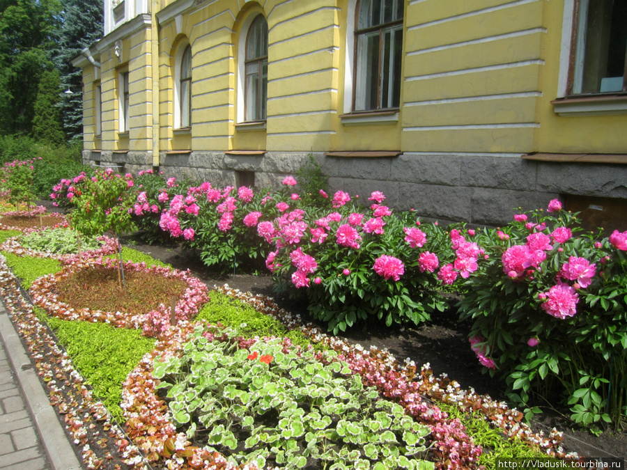 Ботанический сад на Аптекарском острове Санкт-Петербург, Россия