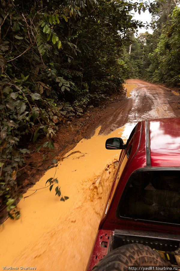 Дорога оставляет желать лучшего, но разве может любой автобан сравниться с такой замечательной грунтовкой в дебрях амазонии? Гайана