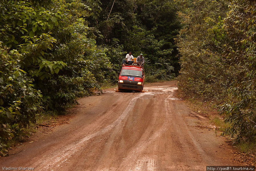 Трафик на трассе не велик. И существенную часть его составляют маршрутки. Гайана