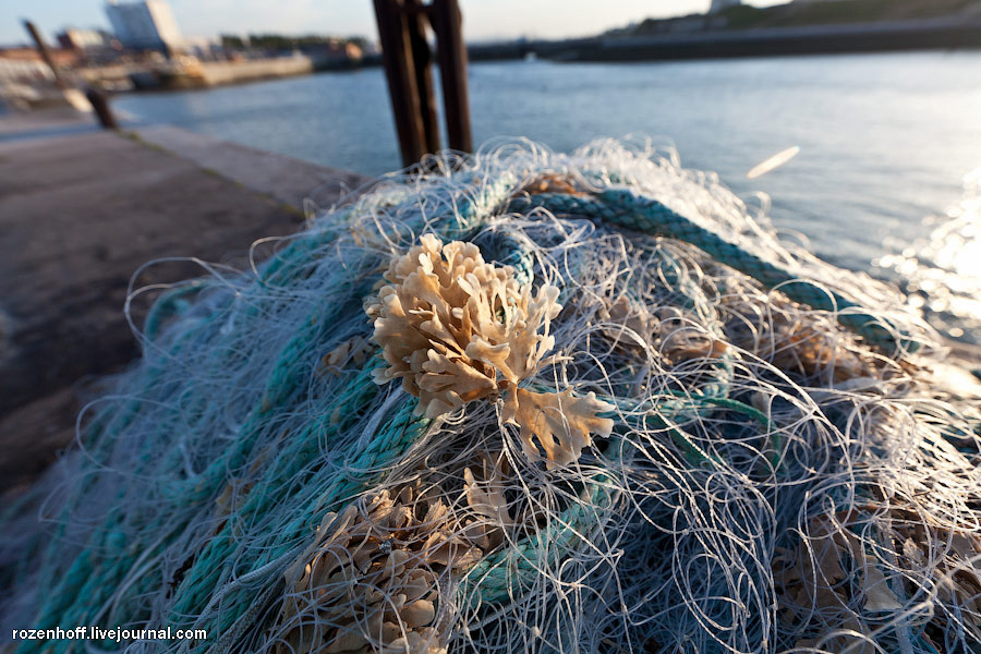 Рыбацкие сети на набережной лежат аккуратными горками Кале, Франция
