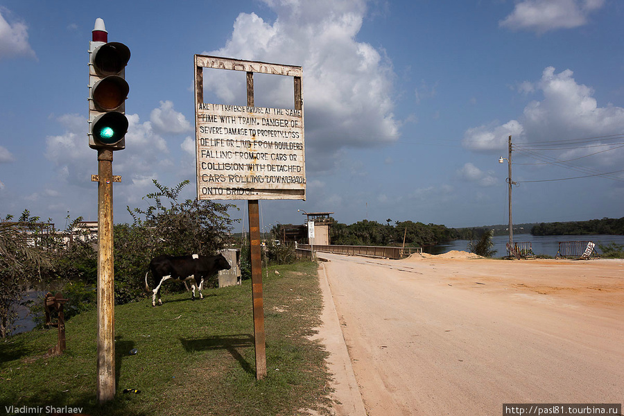 Дорожные знаки бывают весьма интересны. Прочитайте, от чего предостерегает табличка! Гайана