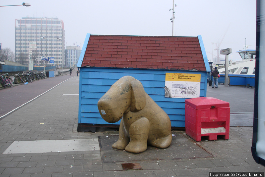 вот такое животное с домиком Амстердам, Нидерланды