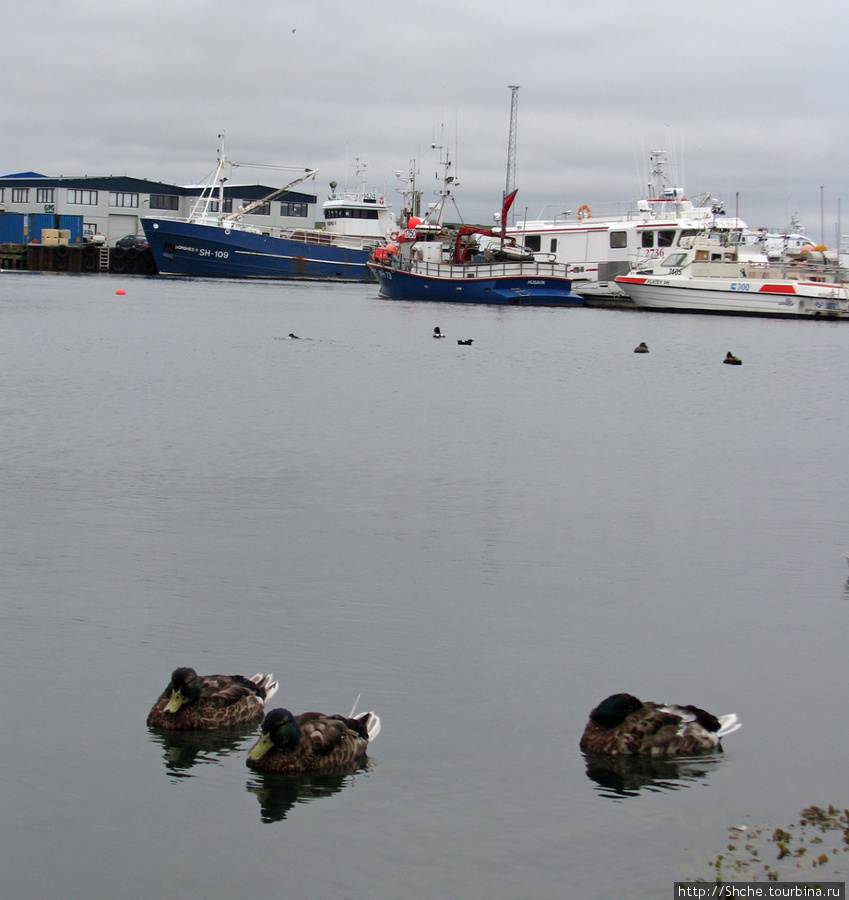 Город-порт Хусавик. Хотите смотреть китов? Вам сюда Хусавик, Исландия