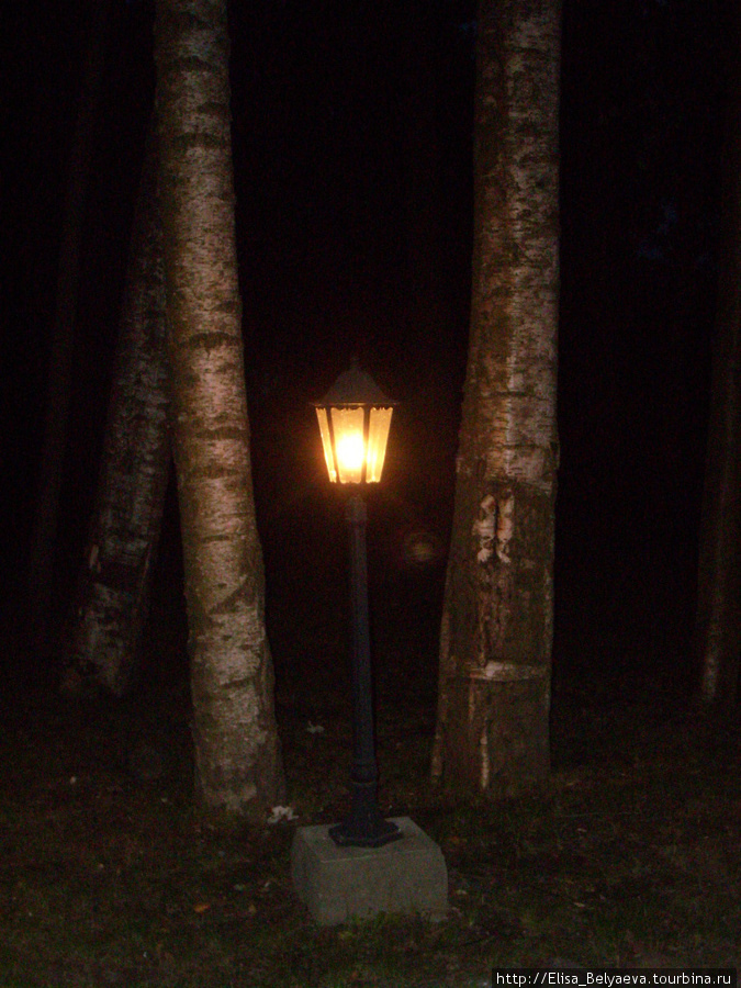 фонарь у залива(современные,конечно, но красивый) Комарово, Россия